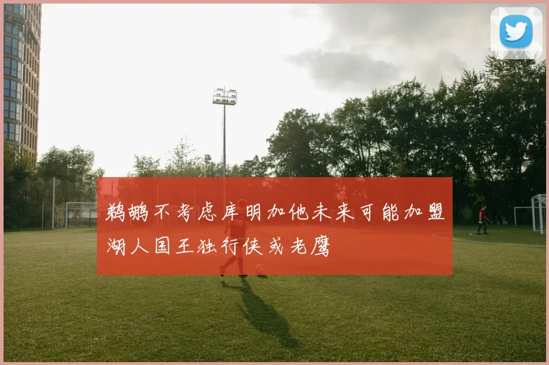 鹈鹕不考虑库明加他未来可能加盟湖人国王独行侠或老鹰